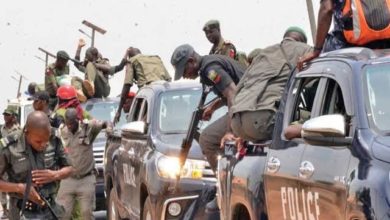 Police Arrest 318 Suspected Criminals In Yobe