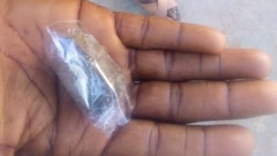 Reporter’s Diary: 6 Hours With Indian Hemp Sellers And Smokers In A Kwara Community