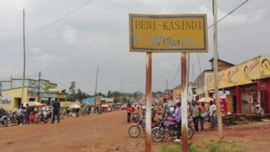 2 Men Die In Rebels' Ambush In DR Congo