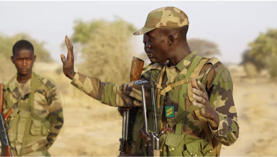 Niger Republic Soldiers Push Back ISWAP Attack In Diffa - HumAngle