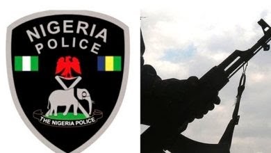 An illustrative image showing the logo of the Nigeria Police Force (left) and a hand wielding a gun (right).