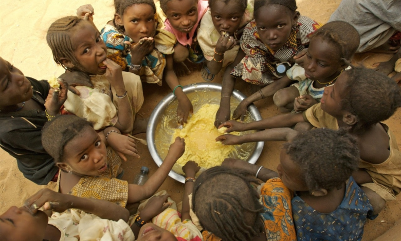 West Africa Faces Worst Hunger Crisis In Decade Amid Aid Cuts - HumAngle  Media