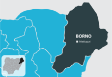 Map illustration of Borno State, Northeast Nigeria