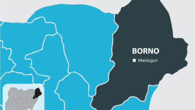 Map illustration of Borno State, Northeast Nigeria