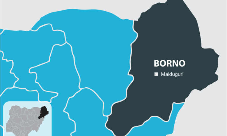 Map illustration of Borno State, Northeast Nigeria