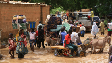 people using donkey carts to cross a flooded river