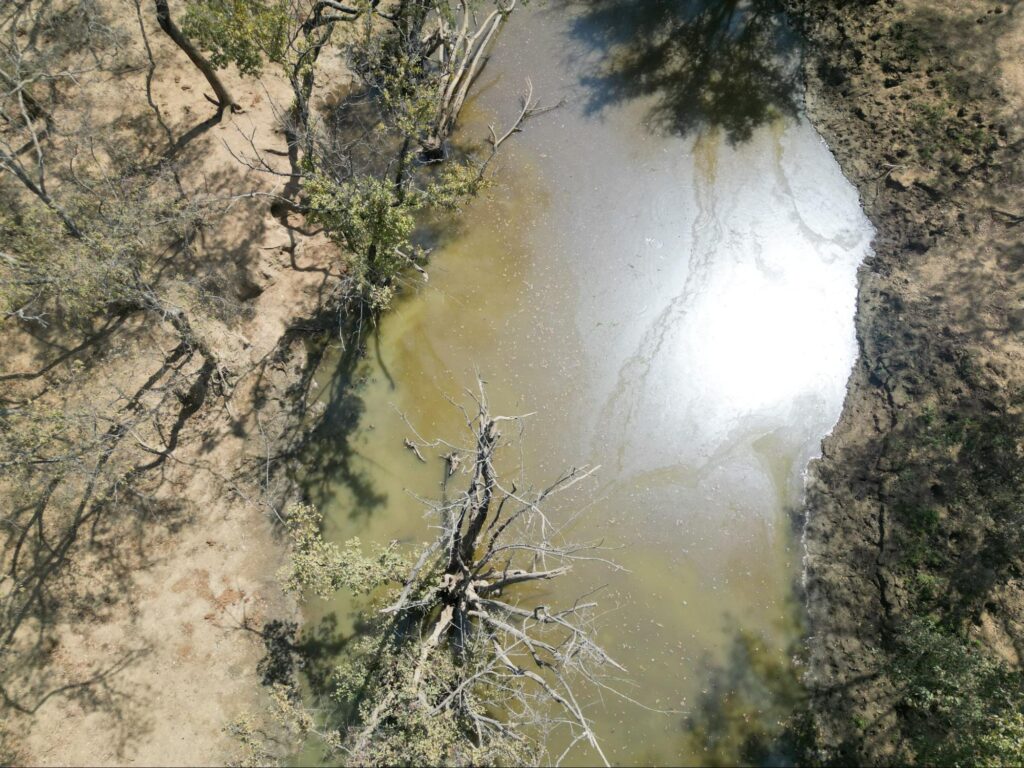 Batta water drinking point in Yankari Game Reserve