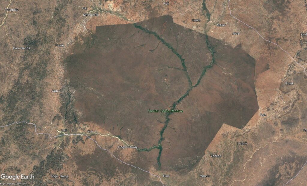 Google Earth satellite imagery of Yankari looks like a vegetation island