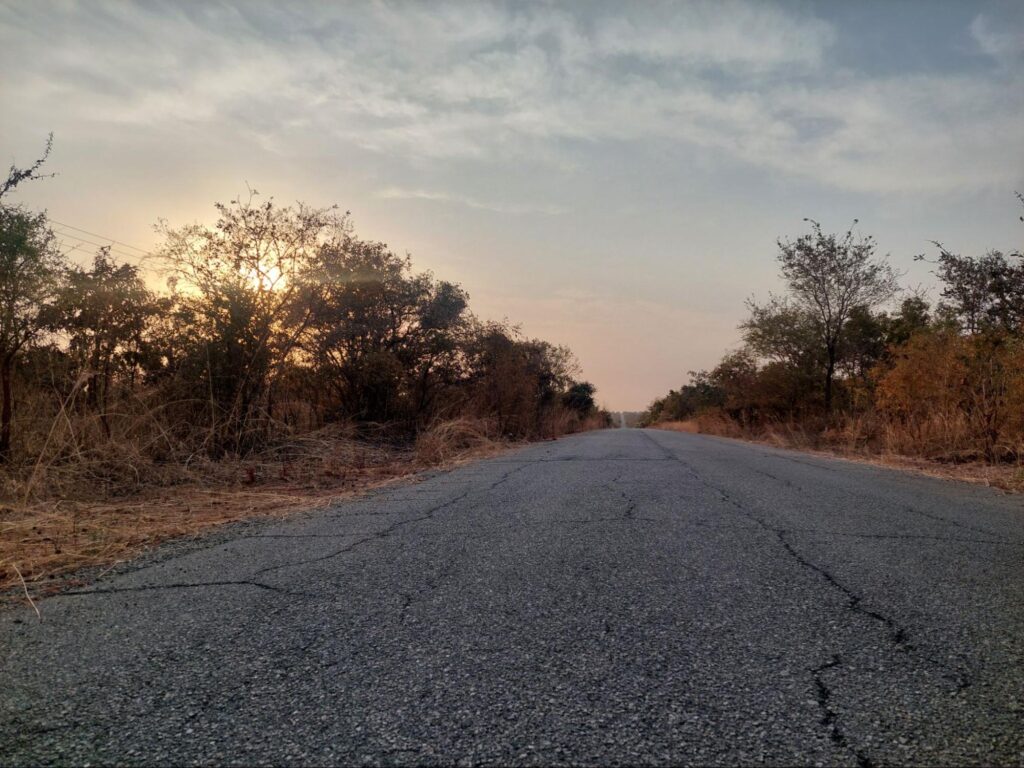 The over 40 km tarred road linking the first gate and the main Wikki camp inside Yankari