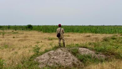 A soldier watches over a farmland in the central part of Borno state.