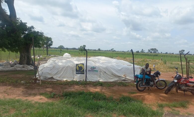 One of the locations in Kubau area of Kaduna, Nigeria, where Babban Gona collects its goods before they are moved.