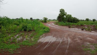 One of the several routes the terrorists use to access communities in Bukuyum LGA. It is located 13 kilometres away from Kisami to Mallamawa villages along Bukuyum -Anka highway. Photo Credit: Abdullahi Abubakar/HumAngle.