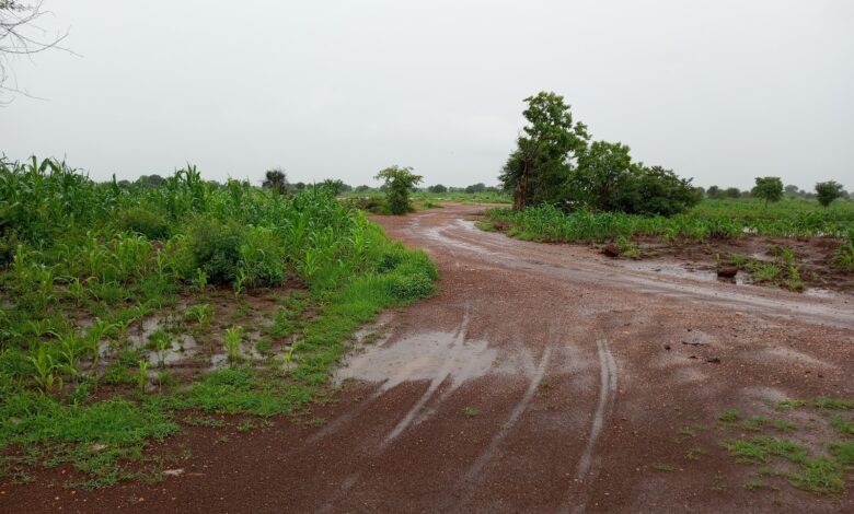 One of the several routes the terrorists use to access communities in Bukuyum LGA. It is located 13 kilometres away from Kisami to Mallamawa villages along Bukuyum -Anka highway. Photo Credit: Abdullahi Abubakar/HumAngle.
