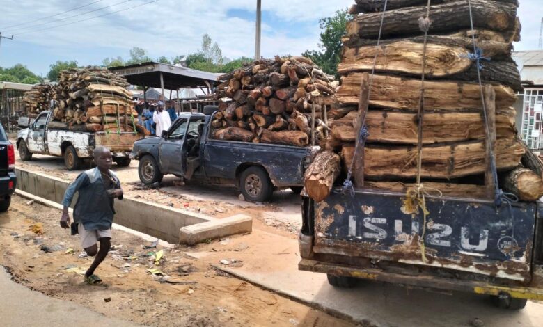 Firewood Park in Vunoklang, Adamawa State.