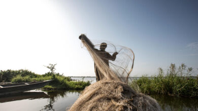 Nigerian Refugee, Hawali Oumar, 43, tidies his fishing net following a night of work.