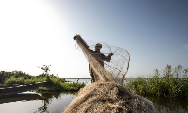 Nigerian Refugee, Hawali Oumar, 43, tidies his fishing net following a night of work.