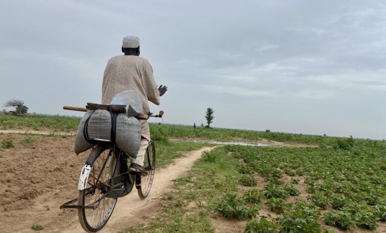 A man rides a bicycle as he heads to his farm in Pulka, North East Nigeria.