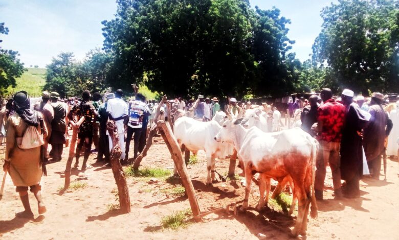 Cattle section of the market after the dispute was resolved.