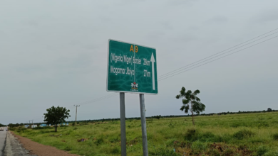 The Nigeria-Niger border in Jibya, Katsina.