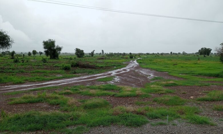 Route to terrorists’ mobile checkpoint in Yargalma village off Bukuyum-Anka highway in Zamfara.