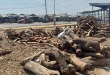 Diminishing popular tsaman tasha firewood market, Hayin gada, Girei. Photo: Obidah Habila Albert/HumAngle