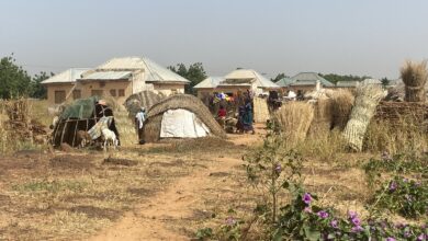 The makeshift shelter IDPs in Goronyo live in as more displaced persons arrive at the camp.