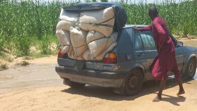 File: A farmer transporting his produce from Zabarmari.