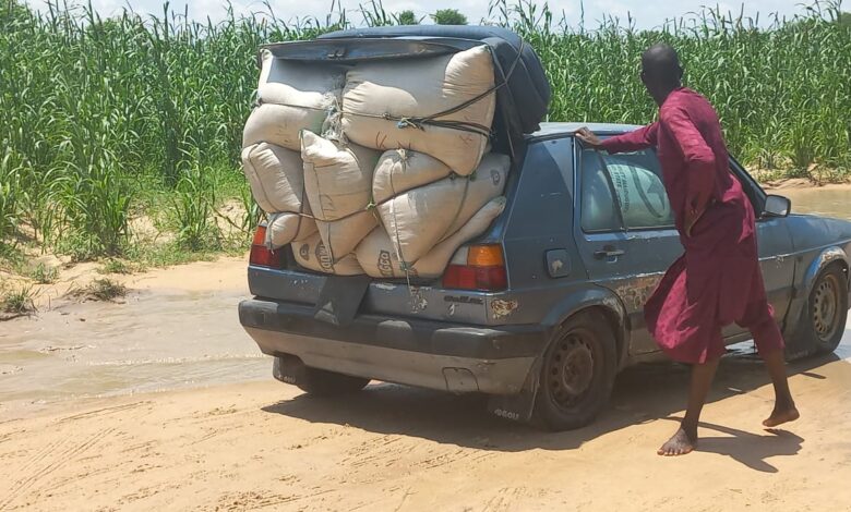 File: A farmer transporting his produce from Zabarmari.
