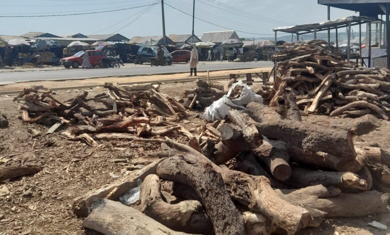 Diminishing popular tsaman tasha firewood market, Hayin gada, Girei. Photo: Obidah Habila Albert/HumAngle