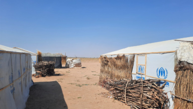 Shuwari resettlement site, Borno state. Photo: ‘Kunle Adebajo/HumAngle