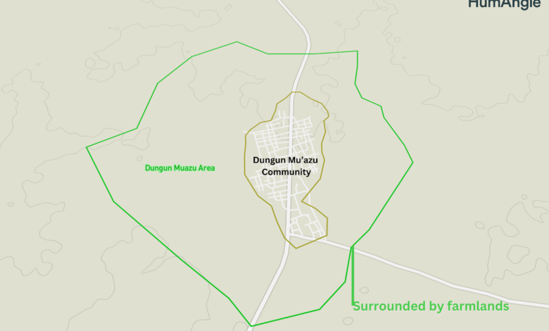 Dungun Mu’azu is a small locality in Sabuwa, Katsina state. The town is surrounded by an estimated 500 hectares of agricultural land. Underscoring it as a predominantly farming community. Map illustration by Mansir Muhammed/HumAngle