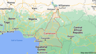 A Map cut out of Cameroon (in red). Photo credit: Google Maps
