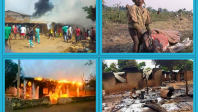 Mashup showing pictures recently circulated on X and Facebook supposedly depicting violence in Nigeria’s Middle Belt region.