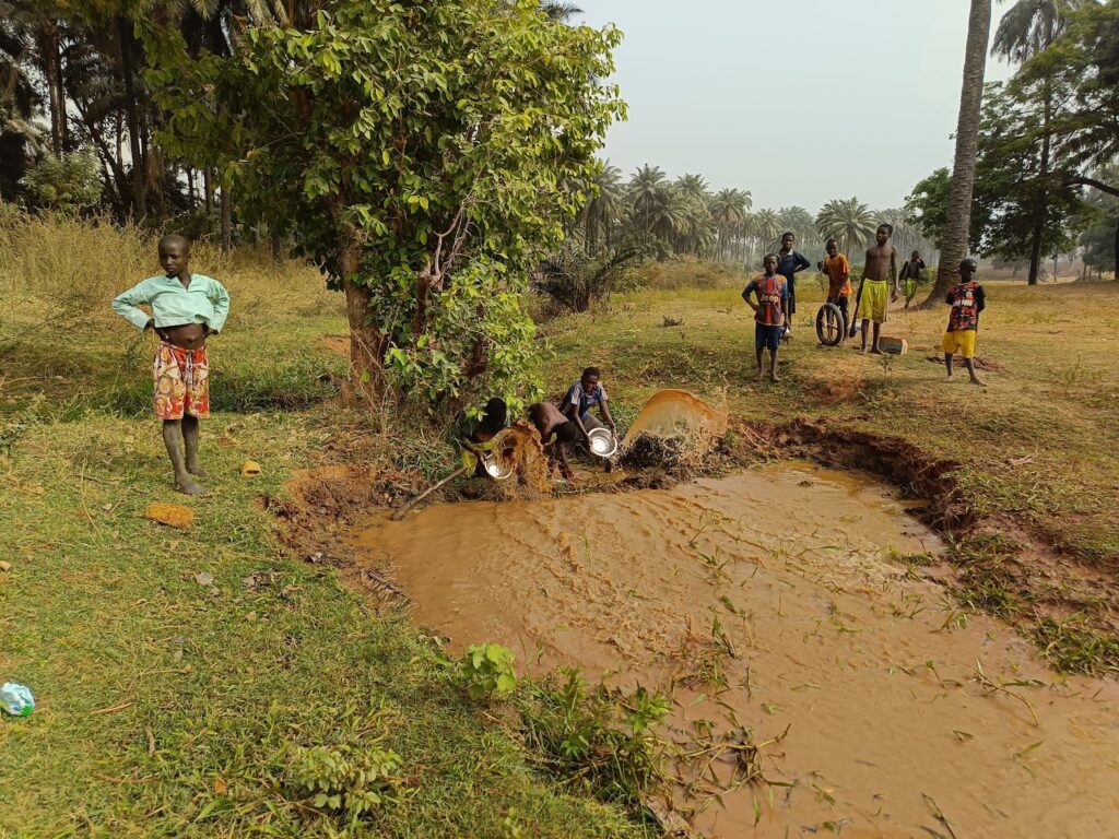 Children playing around a muddy waterhole in a rural setting, with vegetation and palm trees in the background.
