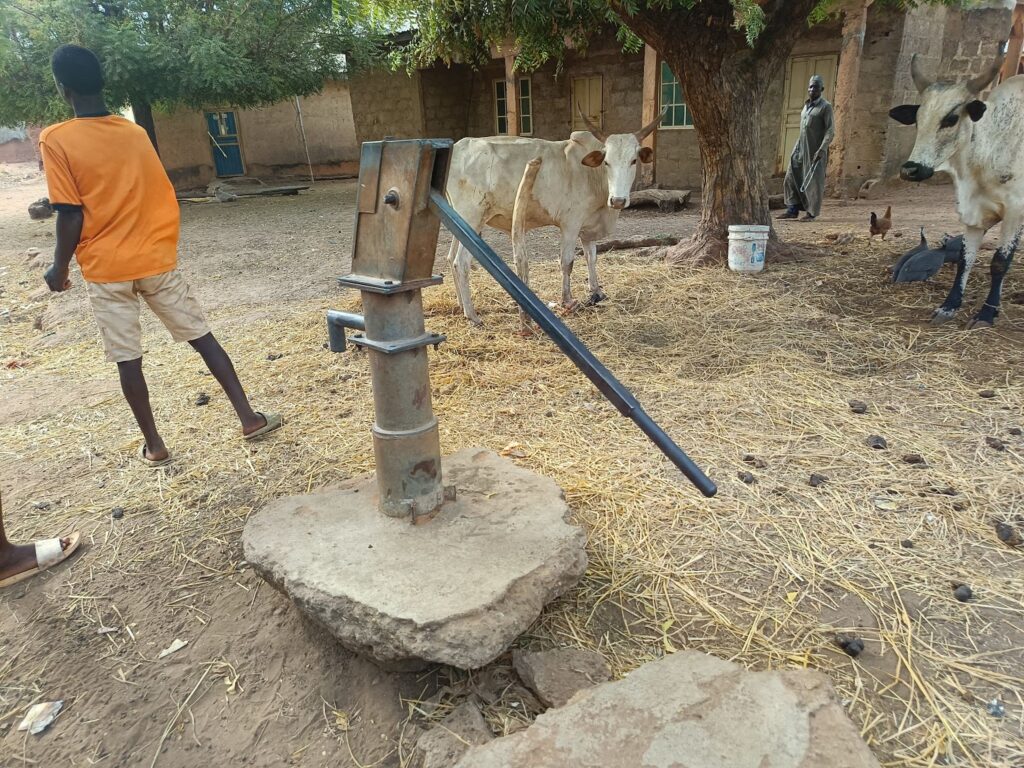 Person operating a manual water pump with cows and a person in background in a rural setting.