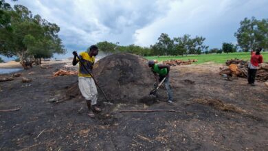 Men working on a large charcoal mound in a field scattered with logs under a cloudy sky.