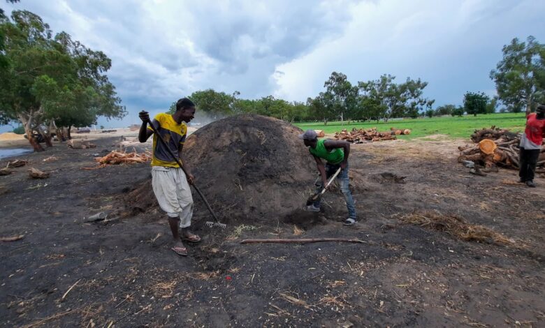 Men working on a large charcoal mound in a field scattered with logs under a cloudy sky.