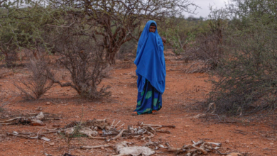 Person in blue traditional dress standing in a sparse, dry landscape.