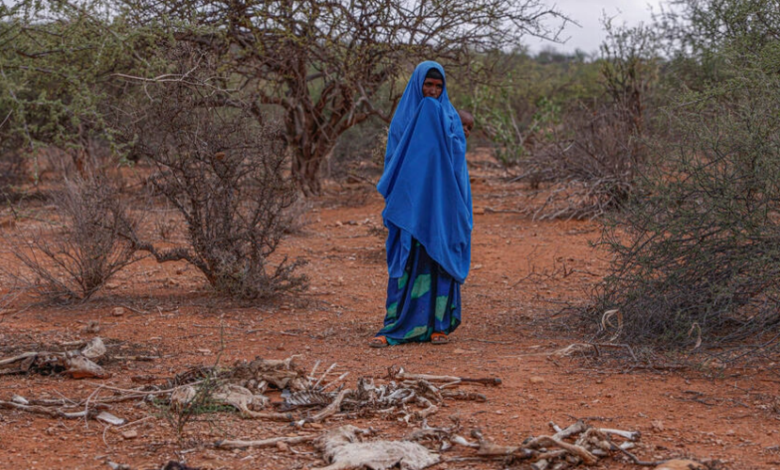 Person in blue traditional dress standing in a sparse, dry landscape.