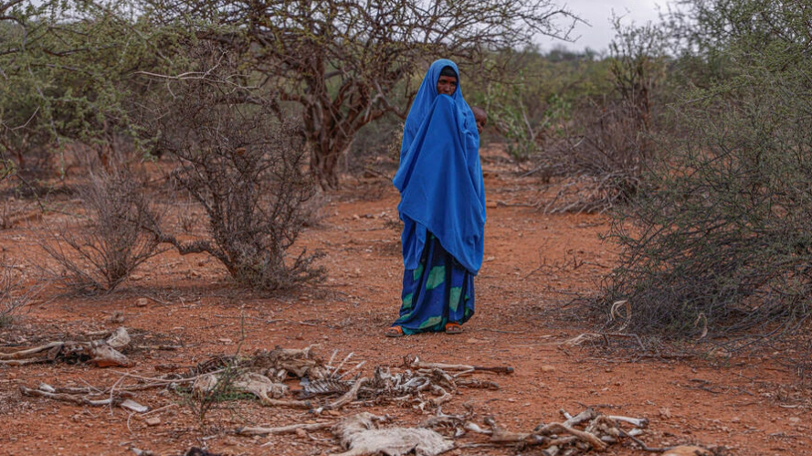 Help Not Reaching Most Victims As Droughts In Ethiopia Kill Hundreds ...