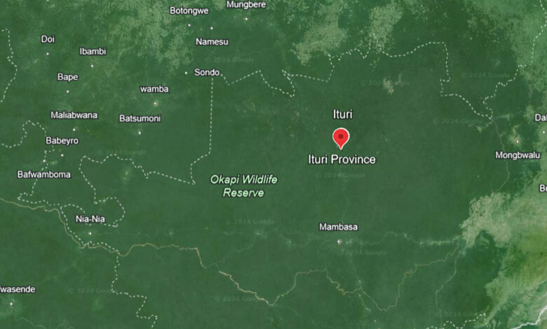 Satellite view of Ituri Province with a marker, near Okapi Wildlife Reserve in a green landscape.