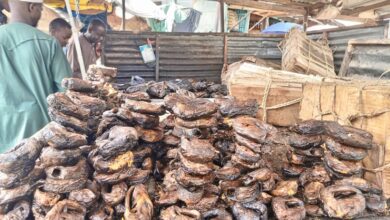 A pile of dried fish for sale at a market stall with customers in the background.