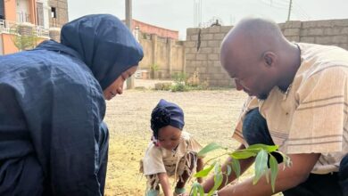 Two adults and a toddler planting a sapling together outdoors.