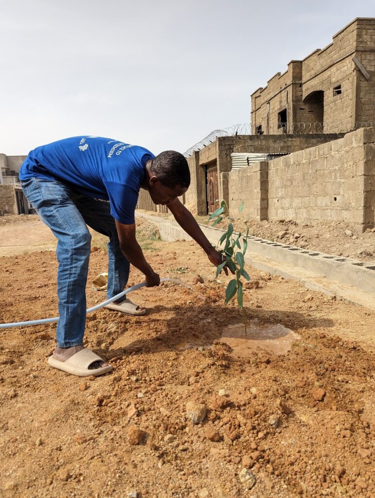 Man in a blue shirt planting a young tree in dry soil with unfinished buildings in the background.