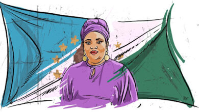 Illustration of a woman in purple attire with a headscarf against a stylized green and white flag background.