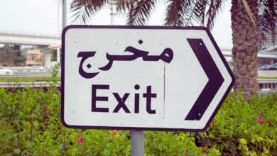 "Exit sign in English and Arabic with an arrow, surrounded by greenery and a palm tree in the background."
