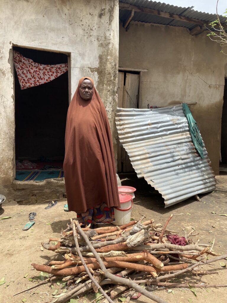 Woman in a brown shawl standing near firewood outside a house with a corrugated metal structure.