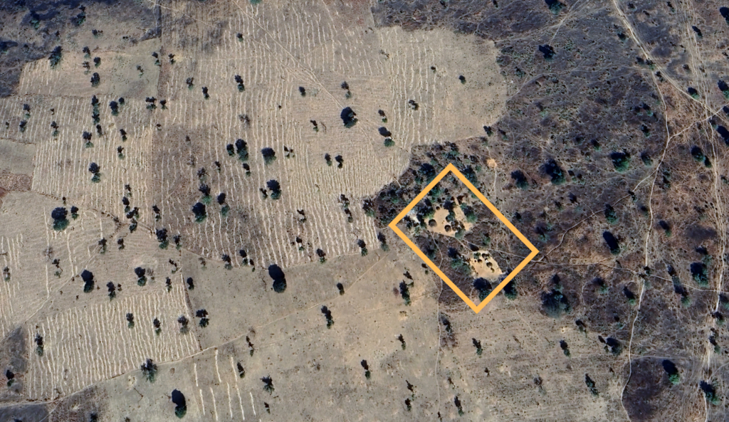 Aerial view of deforested land with a highlighted area showing remaining trees and shrubs.