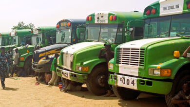 A row of green and white school buses parked with people standing and sitting nearby.