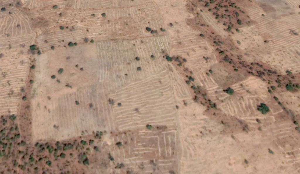 Aerial view of arid farmland with sparse vegetation and distinct plow patterns.